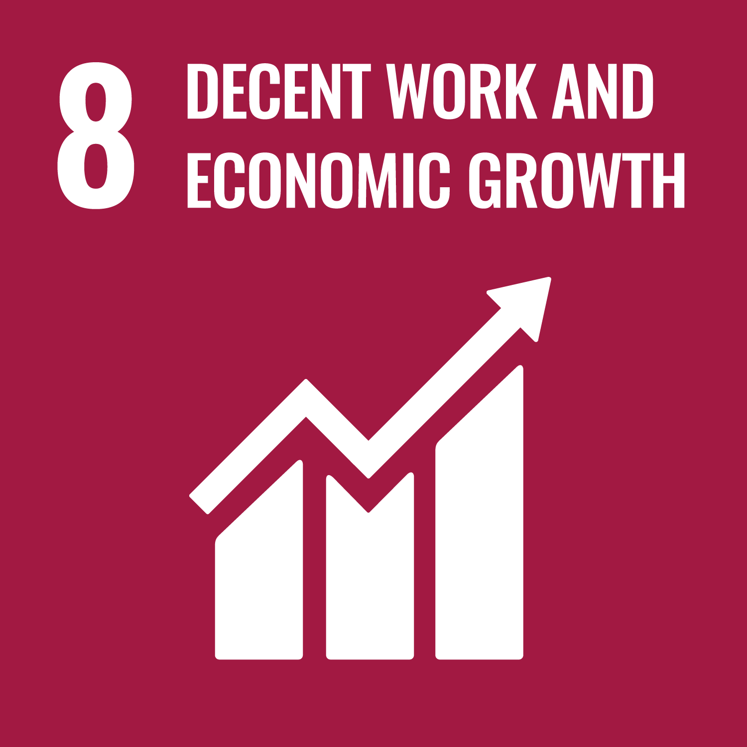UN Sustainable Development Goal 8 icon