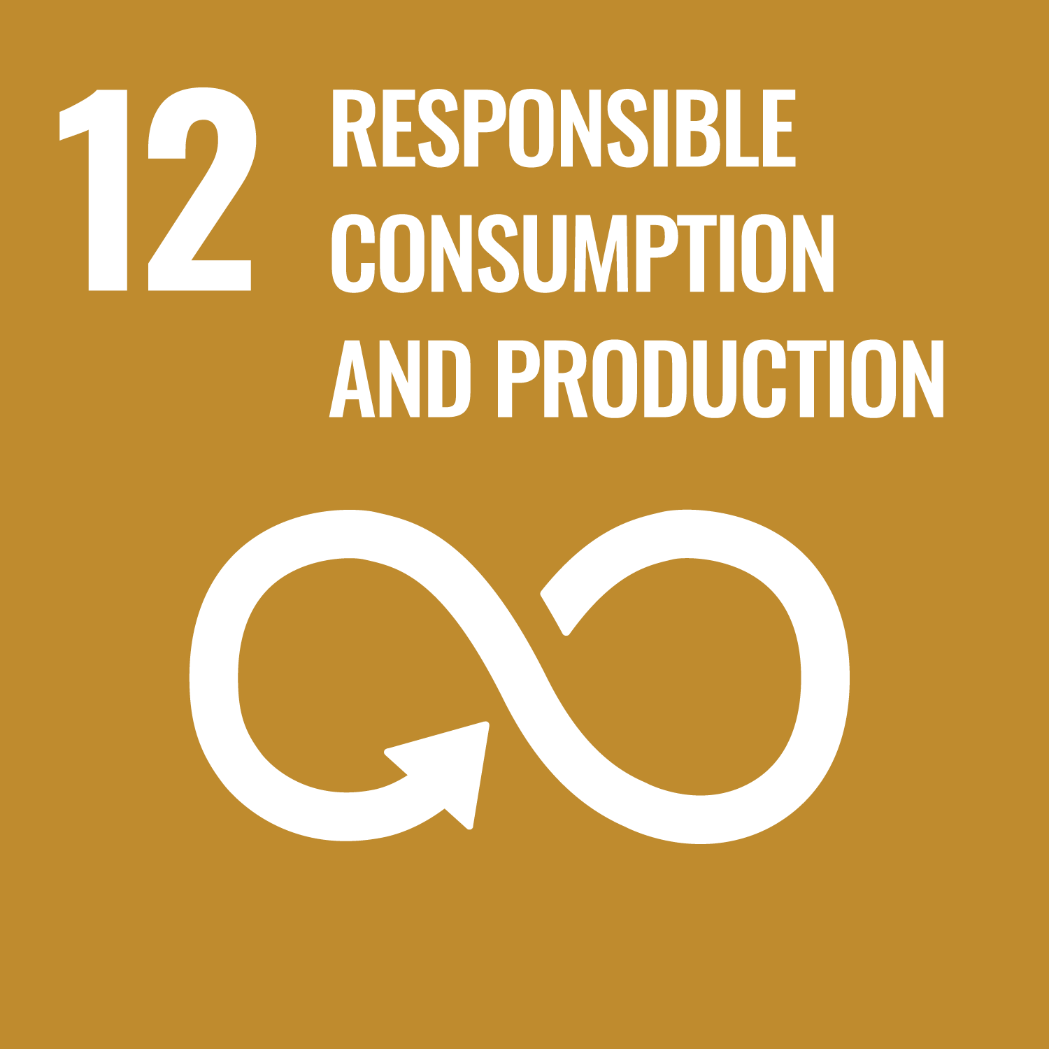 UN Sustainable Development Goal 12 icon