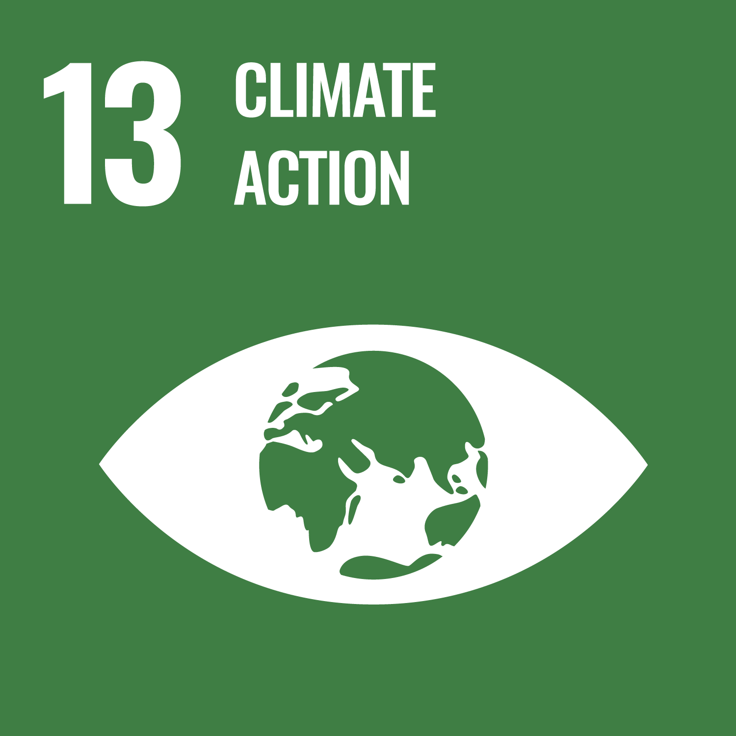 UN Sustainable Development Goal 13 icon